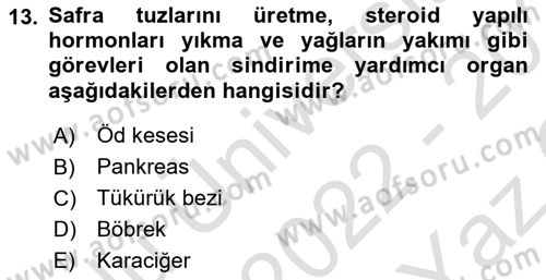 İnsan Beden Yapısı Ve Fizyolojisi Dersi 2022 - 2023 Yılı Yaz Okulu Sınav Soruları 13. Soru