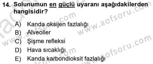 İnsan Beden Yapısı Ve Fizyolojisi Dersi 2022 - 2023 Yılı Yaz Okulu Sınav Soruları 14. Soru