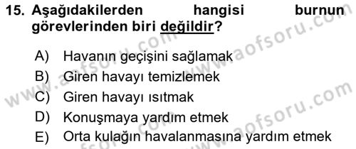 İnsan Beden Yapısı Ve Fizyolojisi Dersi 2022 - 2023 Yılı Yaz Okulu Sınav Soruları 15. Soru