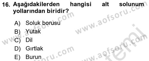 İnsan Beden Yapısı Ve Fizyolojisi Dersi 2022 - 2023 Yılı Yaz Okulu Sınav Soruları 16. Soru