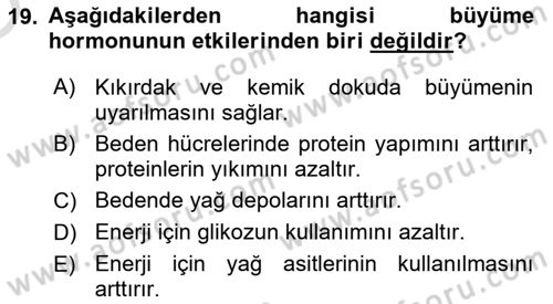 İnsan Beden Yapısı Ve Fizyolojisi Dersi 2022 - 2023 Yılı Yaz Okulu Sınav Soruları 19. Soru