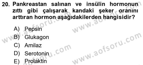 İnsan Beden Yapısı Ve Fizyolojisi Dersi 2022 - 2023 Yılı Yaz Okulu Sınav Soruları 20. Soru