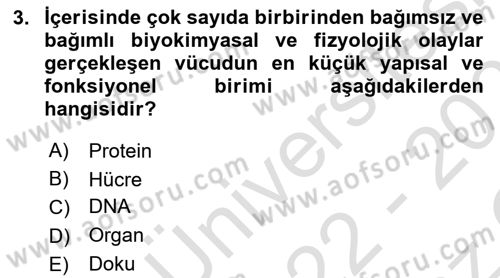 İnsan Beden Yapısı Ve Fizyolojisi Dersi 2022 - 2023 Yılı Yaz Okulu Sınav Soruları 3. Soru