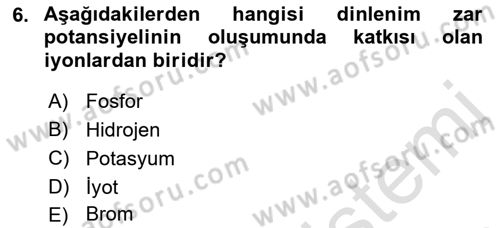 İnsan Beden Yapısı Ve Fizyolojisi Dersi 2022 - 2023 Yılı Yaz Okulu Sınav Soruları 6. Soru