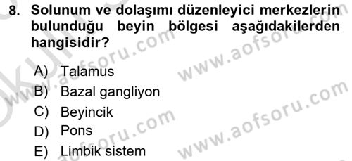 İnsan Beden Yapısı Ve Fizyolojisi Dersi 2022 - 2023 Yılı Yaz Okulu Sınav Soruları 8. Soru