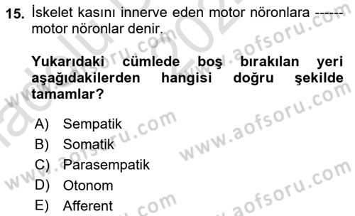 İnsan Beden Yapısı Ve Fizyolojisi Dersi 2024 - 2025 Yılı (Vize) Ara Sınav Soruları 15. Soru