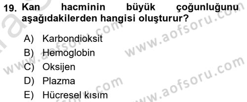 İnsan Beden Yapısı Ve Fizyolojisi Dersi 2024 - 2025 Yılı (Vize) Ara Sınav Soruları 19. Soru