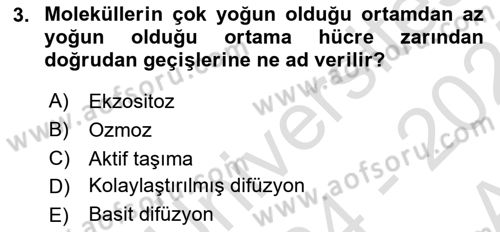 İnsan Beden Yapısı Ve Fizyolojisi Dersi 2024 - 2025 Yılı (Vize) Ara Sınav Soruları 3. Soru