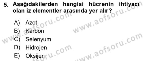 İnsan Beden Yapısı Ve Fizyolojisi Dersi 2024 - 2025 Yılı (Vize) Ara Sınav Soruları 5. Soru