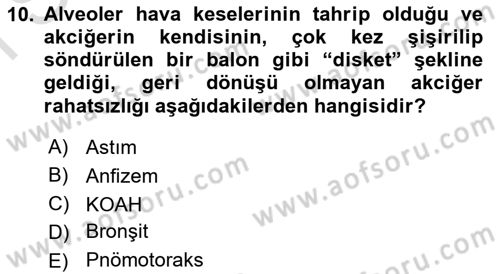 İnsan Beden Yapısı Ve Fizyolojisi Dersi 2024 - 2025 Yılı (Final) Dönem Sonu Sınav Soruları 10. Soru