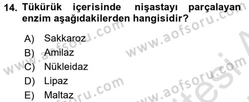 İnsan Beden Yapısı Ve Fizyolojisi Dersi 2024 - 2025 Yılı (Final) Dönem Sonu Sınav Soruları 14. Soru