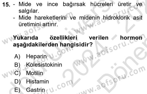 İnsan Beden Yapısı Ve Fizyolojisi Dersi 2024 - 2025 Yılı (Final) Dönem Sonu Sınav Soruları 15. Soru