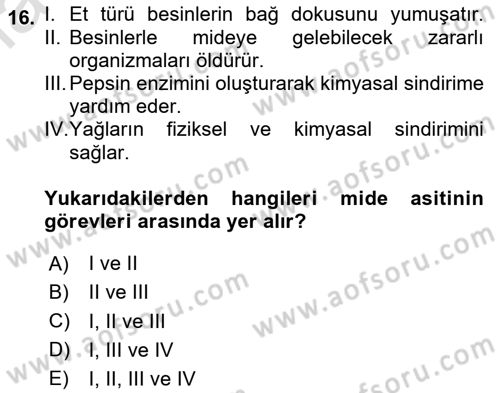 İnsan Beden Yapısı Ve Fizyolojisi Dersi 2024 - 2025 Yılı (Final) Dönem Sonu Sınav Soruları 16. Soru