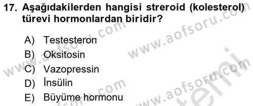 İnsan Beden Yapısı Ve Fizyolojisi Dersi 2024 - 2025 Yılı (Final) Dönem Sonu Sınav Soruları 17. Soru