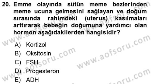 İnsan Beden Yapısı Ve Fizyolojisi Dersi 2024 - 2025 Yılı (Final) Dönem Sonu Sınav Soruları 20. Soru