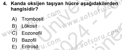 İnsan Beden Yapısı Ve Fizyolojisi Dersi 2024 - 2025 Yılı (Final) Dönem Sonu Sınav Soruları 4. Soru