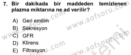 İnsan Beden Yapısı Ve Fizyolojisi Dersi 2024 - 2025 Yılı (Final) Dönem Sonu Sınav Soruları 7. Soru