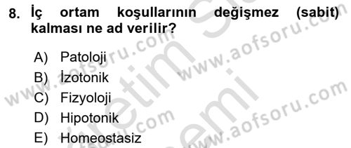 İnsan Beden Yapısı Ve Fizyolojisi Dersi 2024 - 2025 Yılı (Final) Dönem Sonu Sınav Soruları 8. Soru