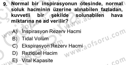 İnsan Beden Yapısı Ve Fizyolojisi Dersi 2024 - 2025 Yılı (Final) Dönem Sonu Sınav Soruları 9. Soru
