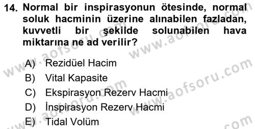 İnsan Beden Yapısı Ve Fizyolojisi Dersi 2024 - 2025 Yılı Yaz Okulu Sınav Soruları 14. Soru