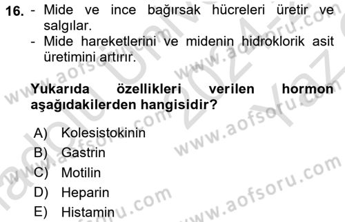 İnsan Beden Yapısı Ve Fizyolojisi Dersi 2024 - 2025 Yılı Yaz Okulu Sınav Soruları 16. Soru