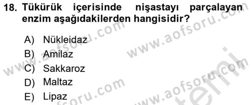 İnsan Beden Yapısı Ve Fizyolojisi Dersi 2024 - 2025 Yılı Yaz Okulu Sınav Soruları 18. Soru