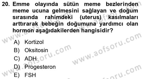 İnsan Beden Yapısı Ve Fizyolojisi Dersi 2024 - 2025 Yılı Yaz Okulu Sınav Soruları 20. Soru