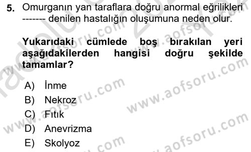 İnsan Beden Yapısı Ve Fizyolojisi Dersi 2024 - 2025 Yılı Yaz Okulu Sınav Soruları 5. Soru