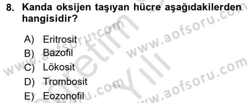İnsan Beden Yapısı Ve Fizyolojisi Dersi 2024 - 2025 Yılı Yaz Okulu Sınav Soruları 8. Soru