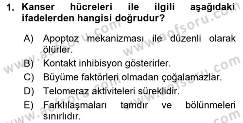 İnsan Beden Yapısı Ve Fizyolojisi Dersi 2025 - 2026 Yılı (Vize) Ara Sınav Soruları 1. Soru