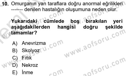 İnsan Beden Yapısı Ve Fizyolojisi Dersi 2025 - 2026 Yılı (Vize) Ara Sınav Soruları 10. Soru