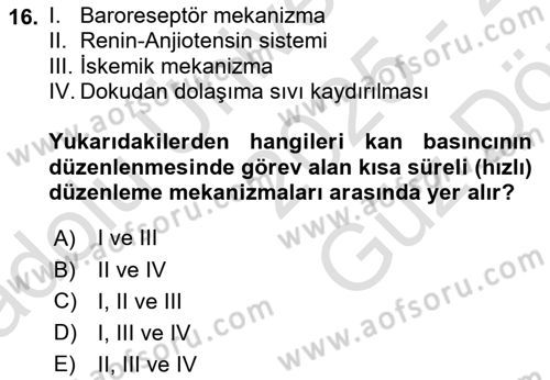 İnsan Beden Yapısı Ve Fizyolojisi Dersi 2025 - 2026 Yılı (Vize) Ara Sınav Soruları 16. Soru