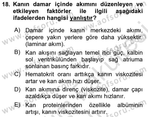 İnsan Beden Yapısı Ve Fizyolojisi Dersi 2025 - 2026 Yılı (Vize) Ara Sınav Soruları 18. Soru