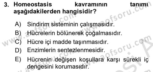 İnsan Beden Yapısı Ve Fizyolojisi Dersi 2025 - 2026 Yılı (Vize) Ara Sınav Soruları 3. Soru
