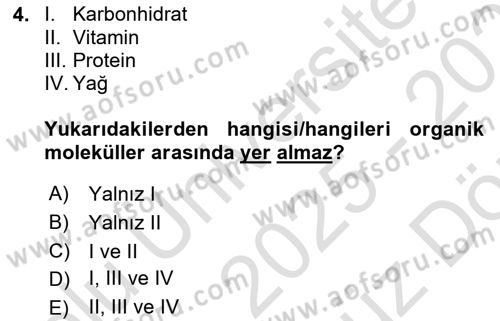 İnsan Beden Yapısı Ve Fizyolojisi Dersi 2025 - 2026 Yılı (Vize) Ara Sınav Soruları 4. Soru