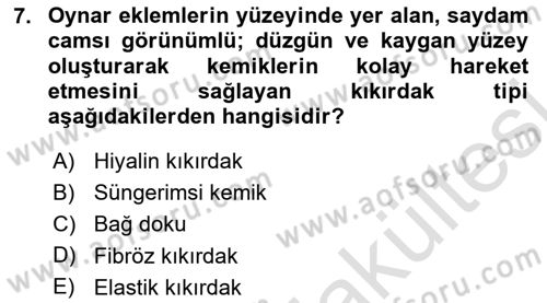 İnsan Beden Yapısı Ve Fizyolojisi Dersi 2025 - 2026 Yılı (Vize) Ara Sınav Soruları 7. Soru
