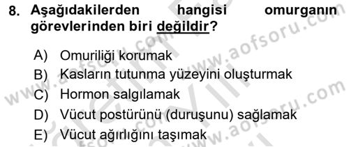 İnsan Beden Yapısı Ve Fizyolojisi Dersi 2025 - 2026 Yılı (Vize) Ara Sınav Soruları 8. Soru
