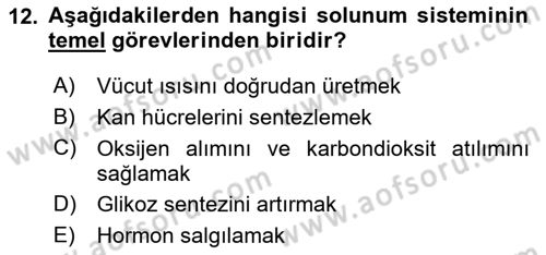 İnsan Beden Yapısı Ve Fizyolojisi Dersi 2025 - 2026 Yılı (Final) Dönem Sonu Sınav Soruları 12. Soru