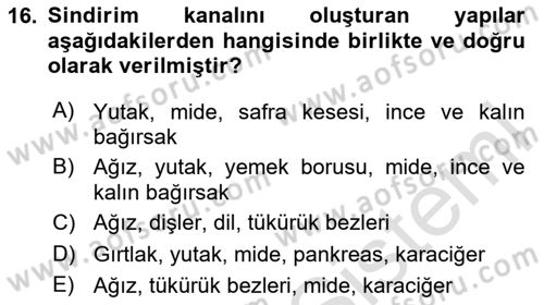 İnsan Beden Yapısı Ve Fizyolojisi Dersi 2025 - 2026 Yılı (Final) Dönem Sonu Sınav Soruları 16. Soru