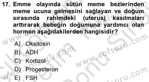İnsan Beden Yapısı Ve Fizyolojisi Dersi 2025 - 2026 Yılı (Final) Dönem Sonu Sınav Soruları 17. Soru