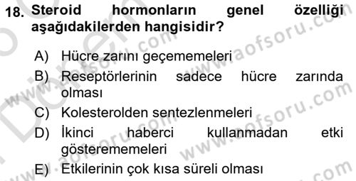 İnsan Beden Yapısı Ve Fizyolojisi Dersi 2025 - 2026 Yılı (Final) Dönem Sonu Sınav Soruları 18. Soru