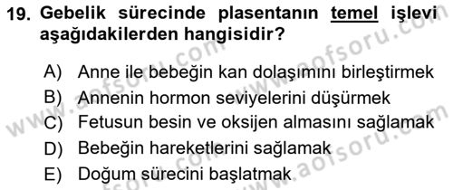 İnsan Beden Yapısı Ve Fizyolojisi Dersi 2025 - 2026 Yılı (Final) Dönem Sonu Sınav Soruları 19. Soru