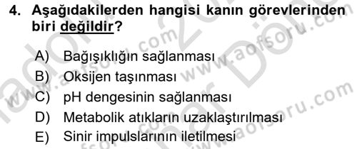 İnsan Beden Yapısı Ve Fizyolojisi Dersi 2025 - 2026 Yılı (Final) Dönem Sonu Sınav Soruları 4. Soru
