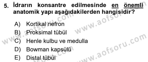 İnsan Beden Yapısı Ve Fizyolojisi Dersi 2025 - 2026 Yılı (Final) Dönem Sonu Sınav Soruları 5. Soru