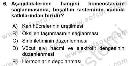 İnsan Beden Yapısı Ve Fizyolojisi Dersi 2025 - 2026 Yılı (Final) Dönem Sonu Sınav Soruları 6. Soru