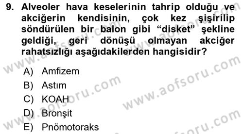 İnsan Beden Yapısı Ve Fizyolojisi Dersi 2025 - 2026 Yılı (Final) Dönem Sonu Sınav Soruları 9. Soru