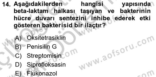 Temel İlaç Bilgisi Ve Akılcı İlaç Kullanımı Dersi 2016 - 2017 Yılı (Vize) Ara Sınav Soruları 14. Soru