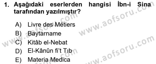Temel İlaç Bilgisi Ve Akılcı İlaç Kullanımı Dersi 2024 - 2025 Yılı (Vize) Ara Sınav Soruları 1. Soru