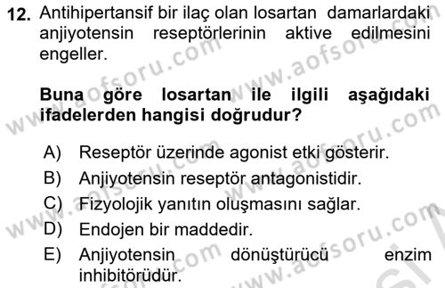 Temel İlaç Bilgisi Ve Akılcı İlaç Kullanımı Dersi 2024 - 2025 Yılı (Vize) Ara Sınav Soruları 12. Soru