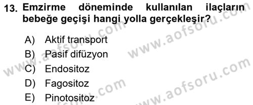 Temel İlaç Bilgisi Ve Akılcı İlaç Kullanımı Dersi 2024 - 2025 Yılı (Final) Dönem Sonu Sınav Soruları 13. Soru